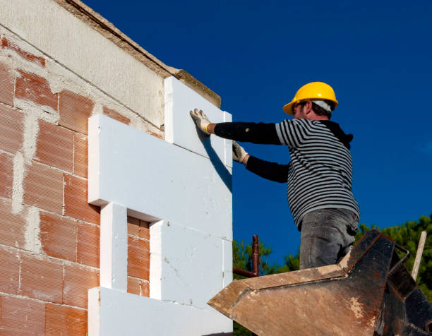Best Insulation Installation Services in Beechwood, MI