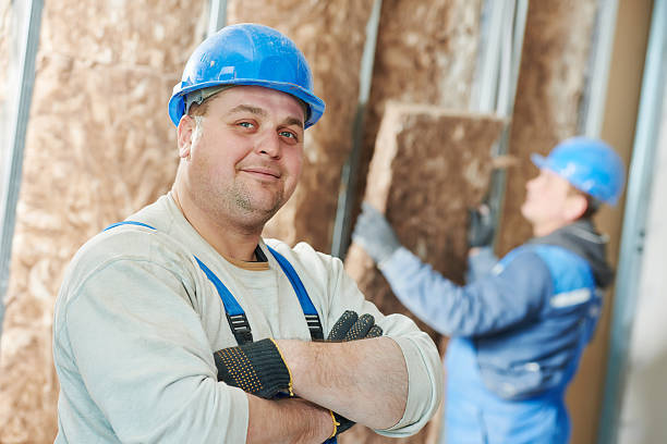 Best Residential Insulation in Beechwood, MI